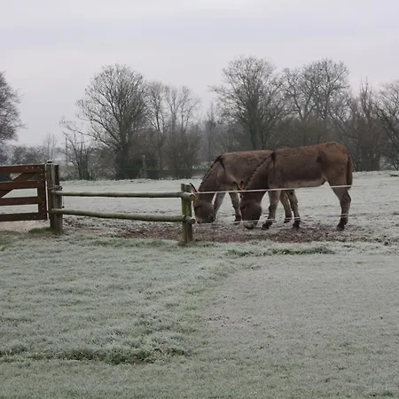 Hébergement de vacances Côté Jardin *