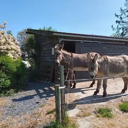 Cote Jardin Dom wakacyjny Binche