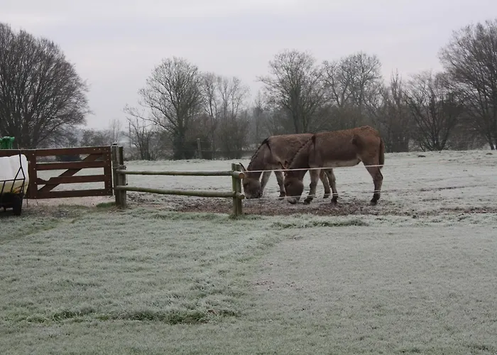 Dom wakacyjny Cote Jardin *
