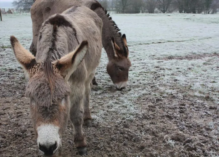 Dom wakacyjny Cote Jardin