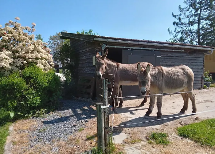 Cote Jardin Dom wakacyjny Binche