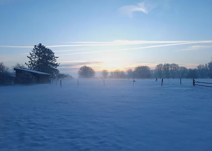 Cote Jardin Dom wakacyjny Binche